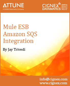 17 - How to work with Mule ESB on Amazon SQs.jpg 17 - How to work with Mule ESB on Amazon SQs.jpg